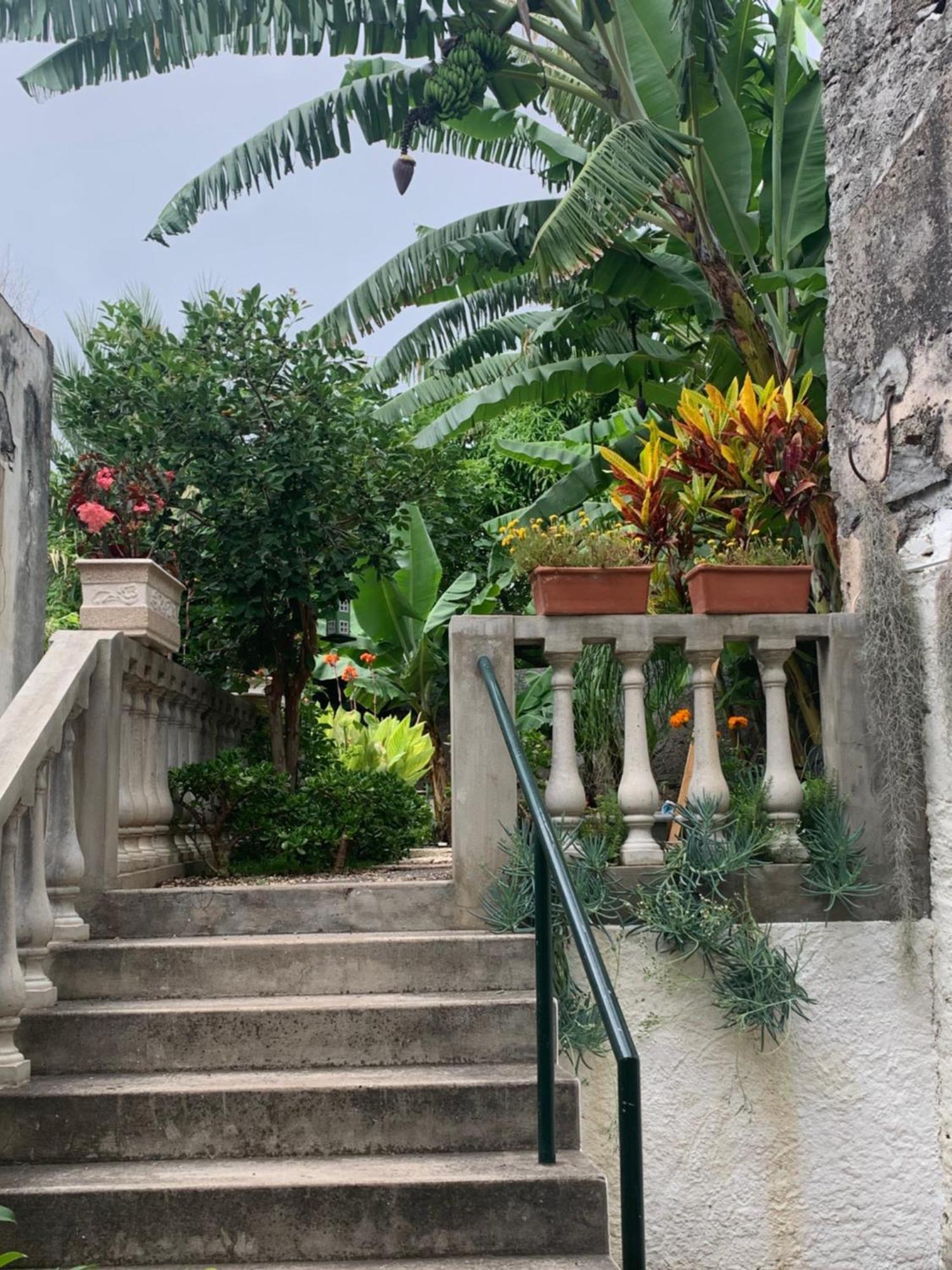 Vitorina Corte Guesthouse フンシャル エクステリア 写真